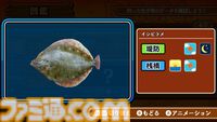 『釣って！海つり』岩礁や堤防など海で楽しむ釣りアクションがSwitchとPC向けに配信。最大4人対戦可能、釣った魚のコレクションやオンラインランキングでやり込み要素充実