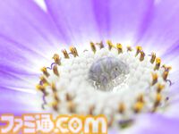ソニーが最新スマホXperia 1 VIを6月に発売。170mm光学ズームカメラを搭載、大容量バッテリーと低消費電力技術で36時間以上の動画再生が可能