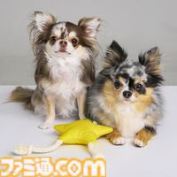 『ドラクエ』チワワやポメラニアンが乗れるスライムのペットカートがかわいい。愛犬たちとの時間をより楽しくする新グッズが9月27日に発売【SQEX PETs】