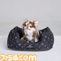 『ドラクエ』チワワやポメラニアンが乗れるスライムのペットカートがかわいい。愛犬たちとの時間をより楽しくする新グッズが9月27日に発売【SQEX PETs】