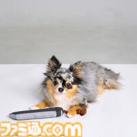『ドラクエ』チワワやポメラニアンが乗れるスライムのペットカートがかわいい。愛犬たちとの時間をより楽しくする新グッズが9月27日に発売【SQEX PETs】