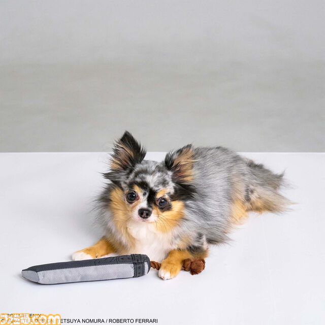 『ドラクエ』チワワやポメラニアンが乗れるスライムのペットカートがかわいい。愛犬たちとの時間をより楽しくする新グッズが9月27日に発売【SQEX PETs】