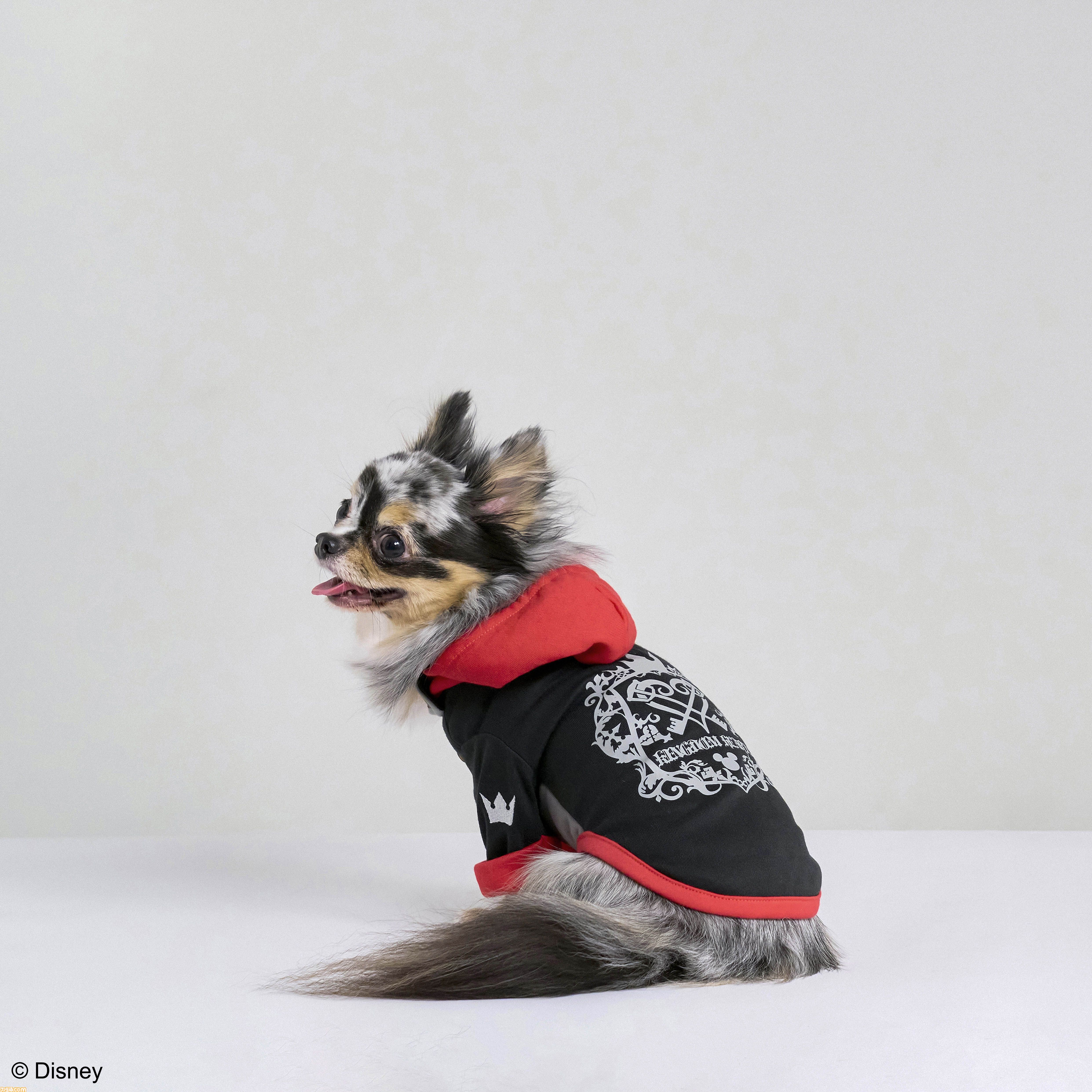 『ドラクエ』チワワやポメラニアンが乗れるスライムのペットカートがかわいい。愛犬たちとの時間をより楽しくする新グッズが9月27日に発売【SQEX PETs】