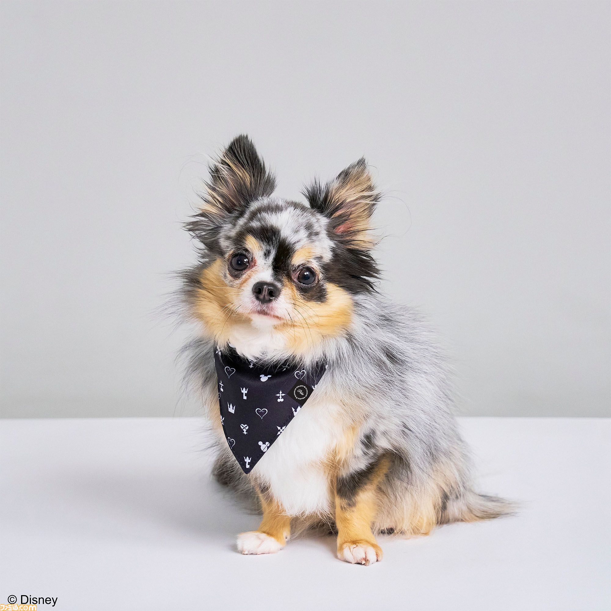 ドラクエ』チワワやポメラニアンが乗れるスライムのペットカートが