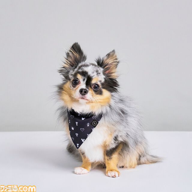 『ドラクエ』チワワやポメラニアンが乗れるスライムのペットカートがかわいい。愛犬たちとの時間をより楽しくする新グッズが9月27日に発売【SQEX PETs】