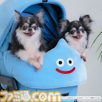 『ドラクエ』チワワやポメラニアンが乗れるスライムのペットカートがかわいい。愛犬たちとの時間をより楽しくする新グッズが9月27日に発売【SQEX PETs】