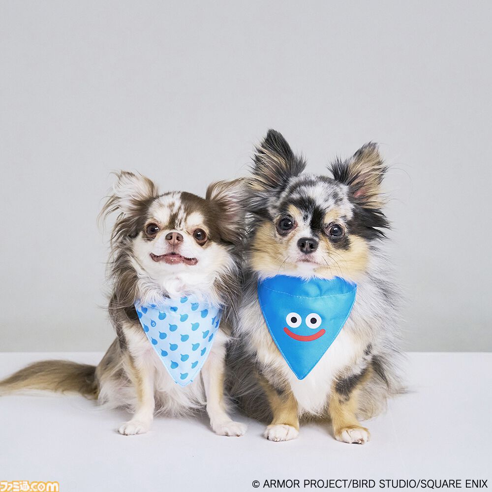 カードダス　ドラゴンクエスト　NO.39   犬 カードダス ドラゴンクエスト NO.39 犬 カードダス ドラゴンクエスト