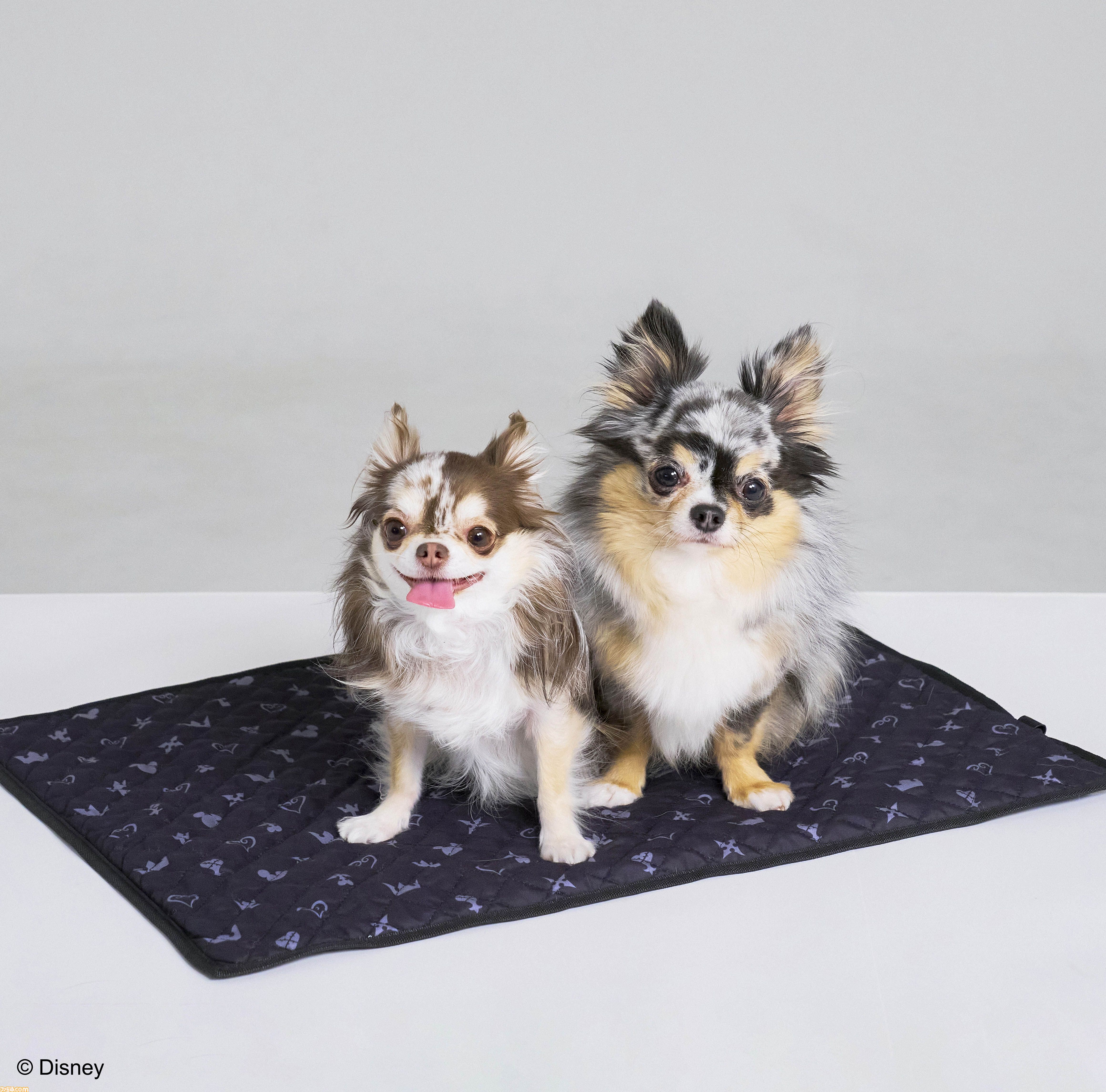 『ドラクエ』チワワやポメラニアンが乗れるスライムのペットカートがかわいい。愛犬たちとの時間をより楽しくする新グッズが9月27日に発売【SQEX PETs】