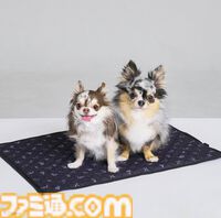 『ドラクエ』チワワやポメラニアンが乗れるスライムのペットカートがかわいい。愛犬たちとの時間をより楽しくする新グッズが9月27日に発売【SQEX PETs】