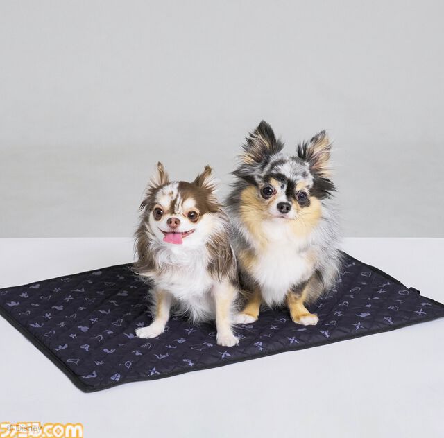 『ドラクエ』チワワやポメラニアンが乗れるスライムのペットカートがかわいい。愛犬たちとの時間をより楽しくする新グッズが9月27日に発売【SQEX PETs】
