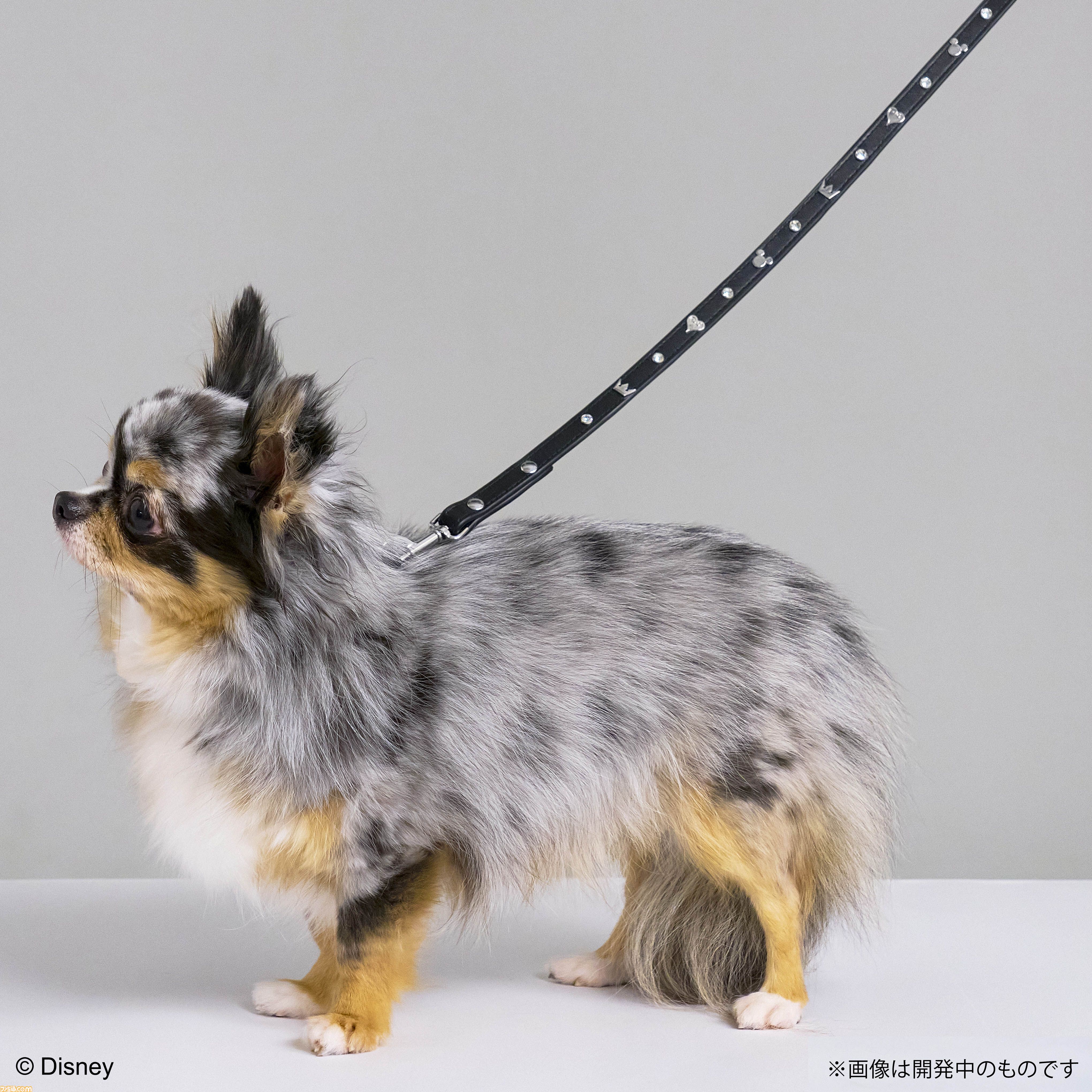 『ドラクエ』チワワやポメラニアンが乗れるスライムのペットカートがかわいい。愛犬たちとの時間をより楽しくする新グッズが9月27日に発売【SQEX PETs】