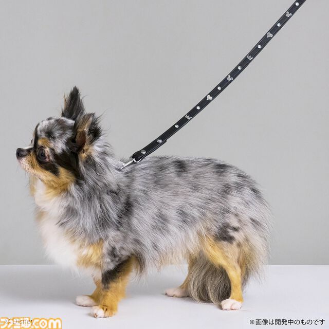 『ドラクエ』チワワやポメラニアンが乗れるスライムのペットカートがかわいい。愛犬たちとの時間をより楽しくする新グッズが9月27日に発売【SQEX PETs】