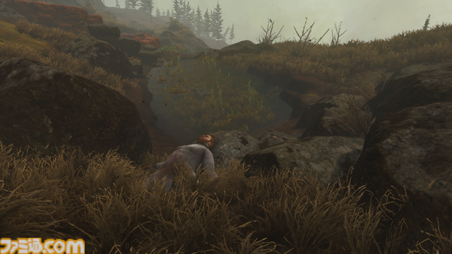 『Baby Steps』レビュー