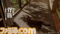 『まだ猫は逃げますか？』が今秋配信決定。『近畿地方のある場所について』の背筋氏がシナリオを手掛ける新作ホラーゲーム