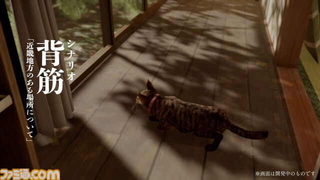 『まだ猫は逃げますか？』が今秋配信決定。『近畿地方のある場所について』の背筋氏がシナリオを手掛ける新作ホラーゲーム