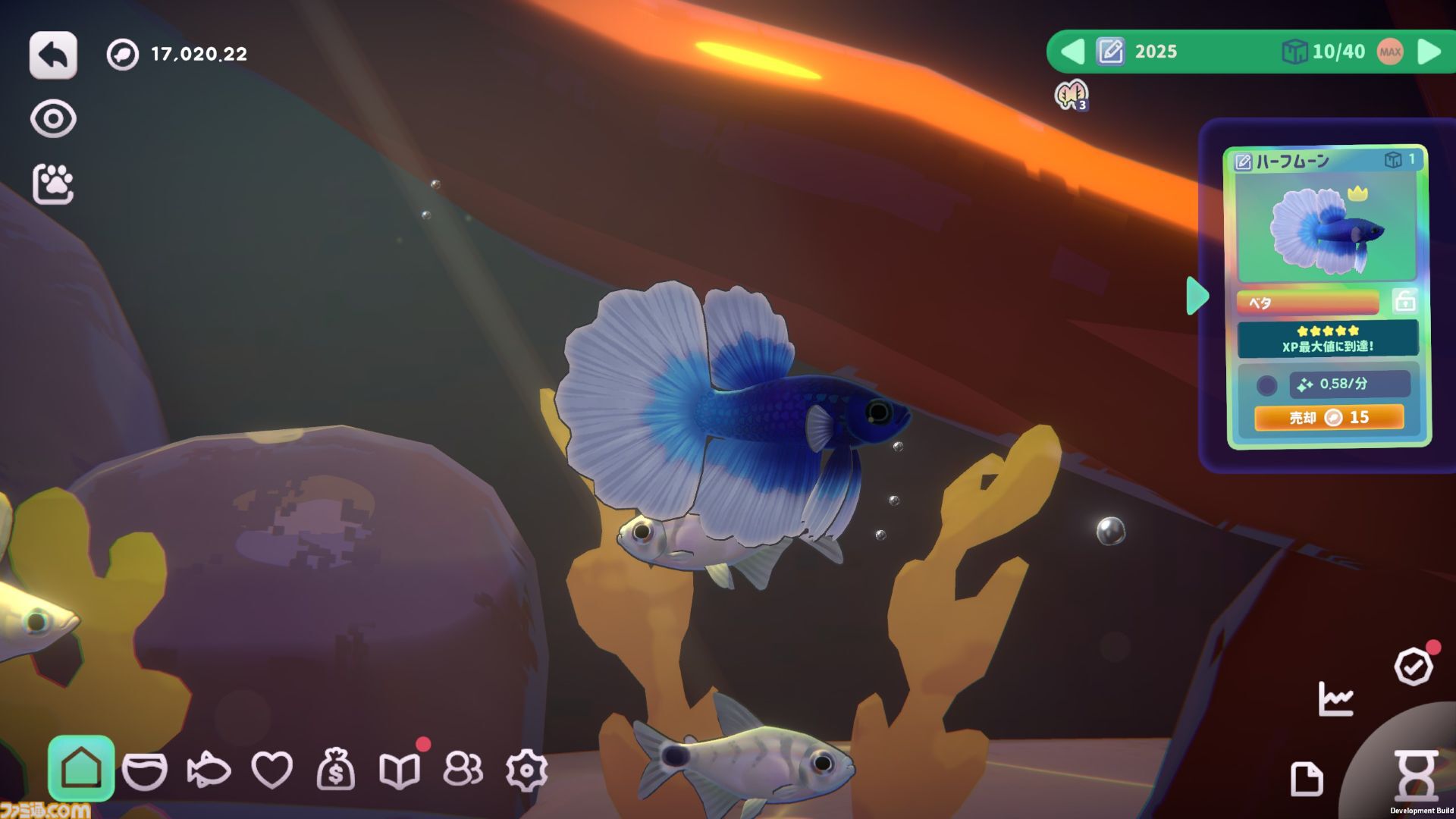 『一緒に！魚の時間』癒し環境で集中力を養うチル系アクアリウムゲームが2025年内にリリース。Steamにて無料体験版を配信