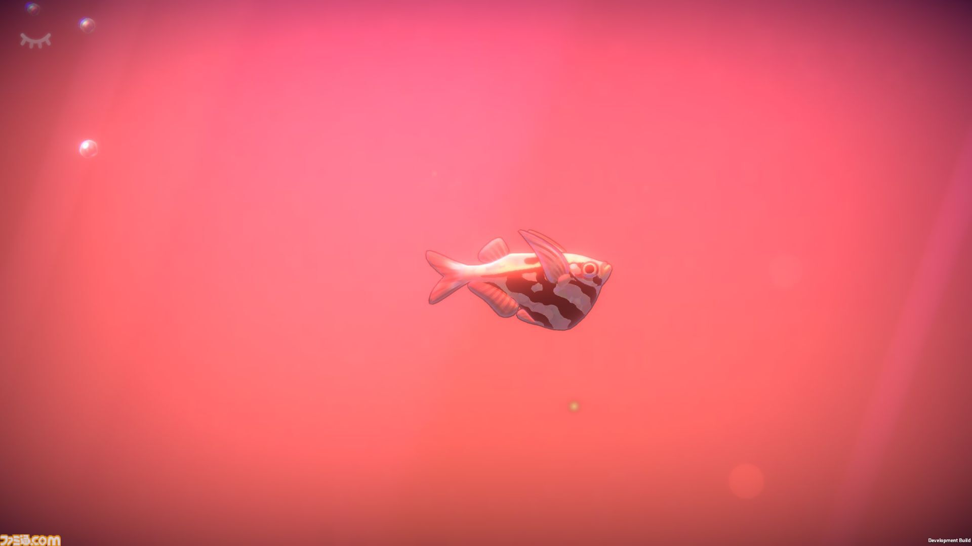 『一緒に！魚の時間』癒し環境で集中力を養うチル系アクアリウムゲームが2025年内にリリース。Steamにて無料体験版を配信