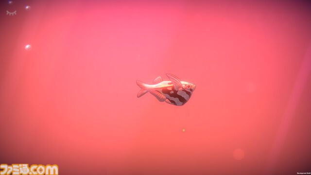 『一緒に！魚の時間』癒し環境で集中力を養うチル系アクアリウムゲームが2025年内にリリース。Steamにて無料体験版を配信