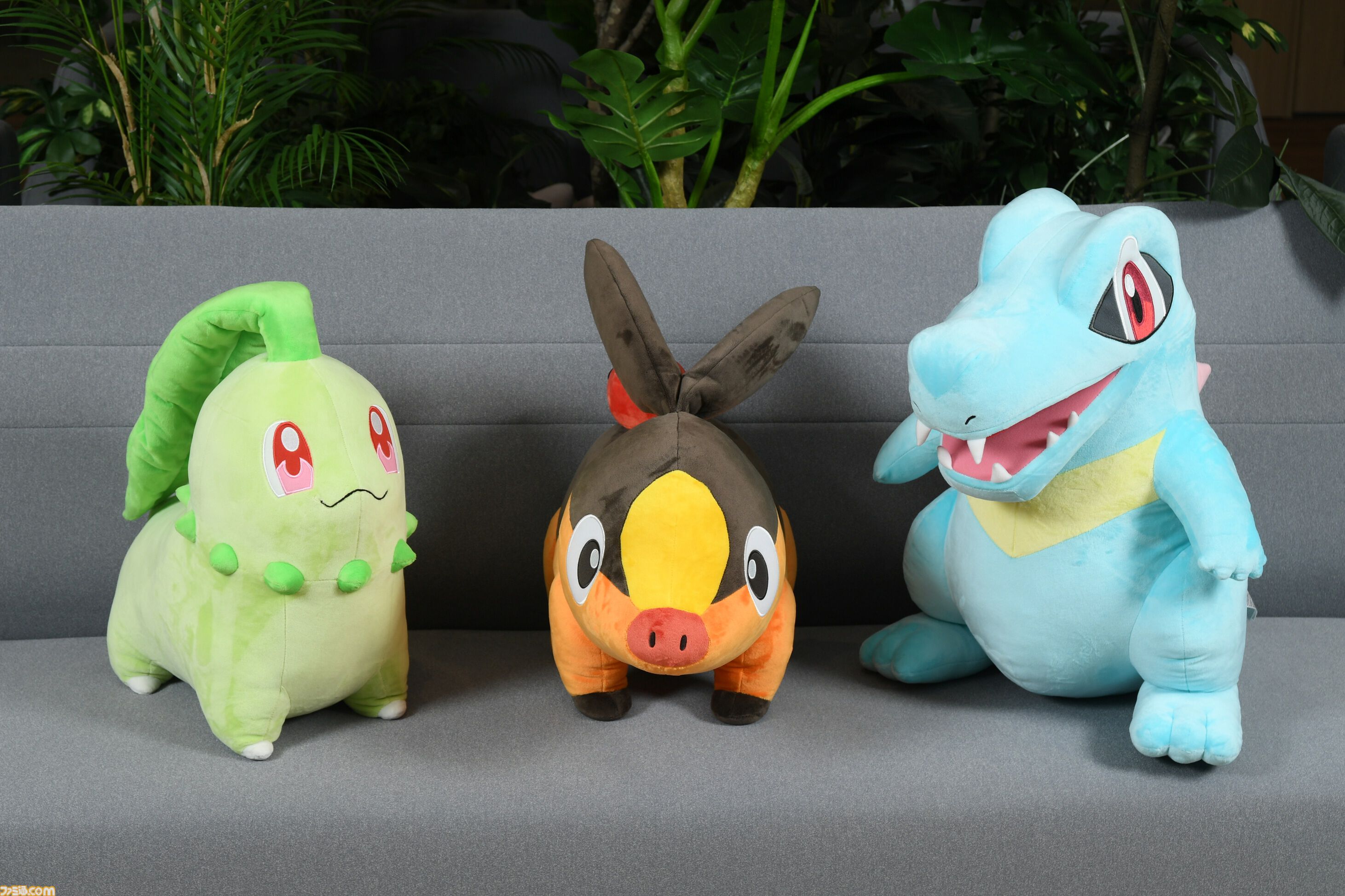 ポケモンレジェンズ Z-A』あなたはどのポケモンと冒険に出る