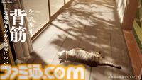 『まだ猫は逃げますか？』配信日が10月27日に決定。『近畿地方のある場所について』作者がシナリオを手掛ける猫視点のホラーゲーム