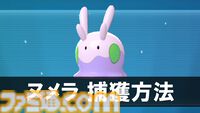 【ポケモンZA】攻略情報まとめ【ポケモンレジェンズゼットエー】