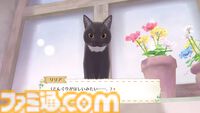 『マジカルクラフト 猫と魔法のドレス』先行レビュー。ここは天国……？ 猫ちゃんいっぱいの村でとびきりかわいいドレスが作れる癒しのゲーム【疲れているあなたへ】