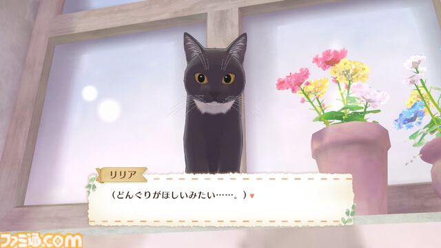 『マジカルクラフト 猫と魔法のドレス』先行レビュー。ここは天国……？ 猫ちゃんいっぱいの村でとびきりかわいいドレスが作れる癒しのゲーム【疲れているあなたへ】