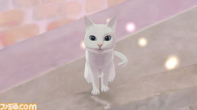 『マジカルクラフト 猫と魔法のドレス』先行レビュー。ここは天国……？ 猫ちゃんいっぱいの村でとびきりかわいいドレスが作れる癒しのゲーム【疲れているあなたへ】