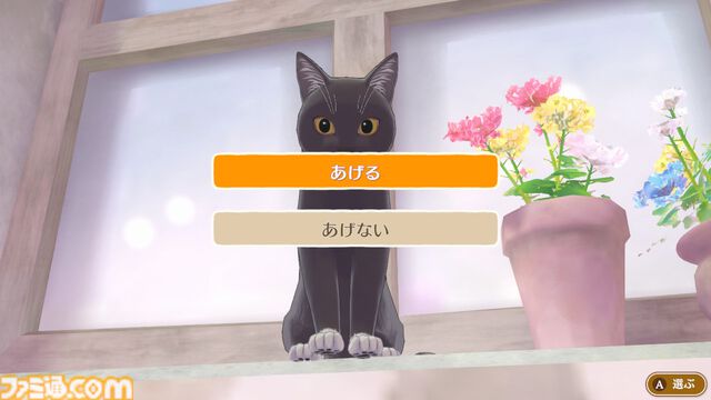 『マジカルクラフト 猫と魔法のドレス』先行レビュー。ここは天国……？ 猫ちゃんいっぱいの村でとびきりかわいいドレスが作れる癒しのゲーム【疲れているあなたへ】