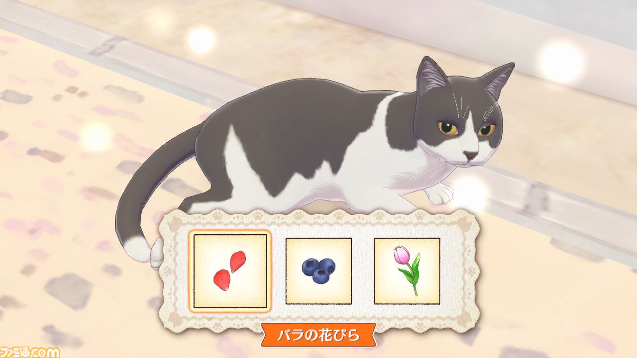 『マジカルクラフト 猫と魔法のドレス』先行レビュー。ここは天国……？ 猫ちゃんいっぱいの村でとびきりかわいいドレスが作れる癒しのゲーム【疲れているあなたへ】