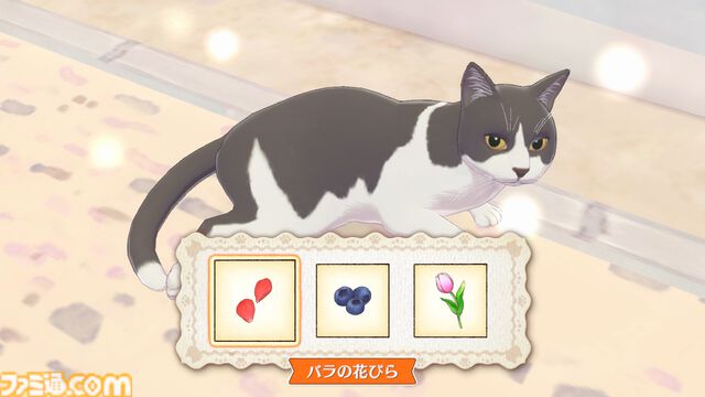 『マジカルクラフト 猫と魔法のドレス』先行レビュー。ここは天国……？ 猫ちゃんいっぱいの村でとびきりかわいいドレスが作れる癒しのゲーム【疲れているあなたへ】