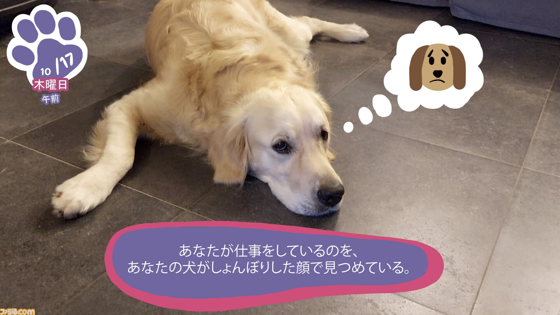 『Golden Retriever Simple Life』実写ゴールデンレトリバー共同生活シム、Steamにて近日リリース予定。遊んで寝てご飯を食べて。どんな姿にも癒やされる犬ゲー