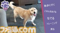 『Golden Retriever Simple Life』実写ゴールデンレトリバー共同生活シム、Steamにて近日リリース予定。遊んで寝てご飯を食べて。どんな姿にも癒やされる犬ゲー