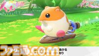 『カービィのエアライダー』タランザ、ロロララ、ドロッチェ、リック、スカーフィ、マルクなど続々参戦【エアライダーDirect2】