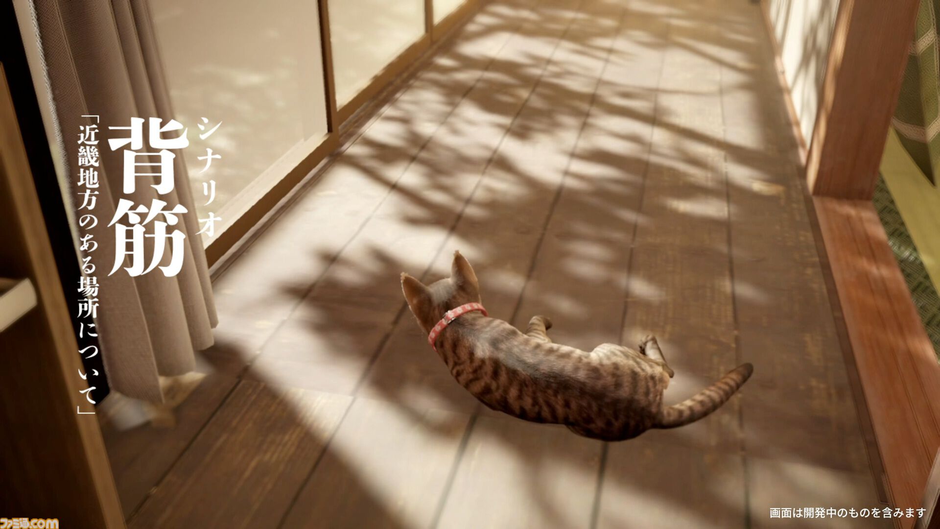 『まだ猫は逃げますか？』猫になり隠された真相に迫るホラーゲームが本日（10/27）配信。『近畿地方のある場所について』作者がシナリオを担当