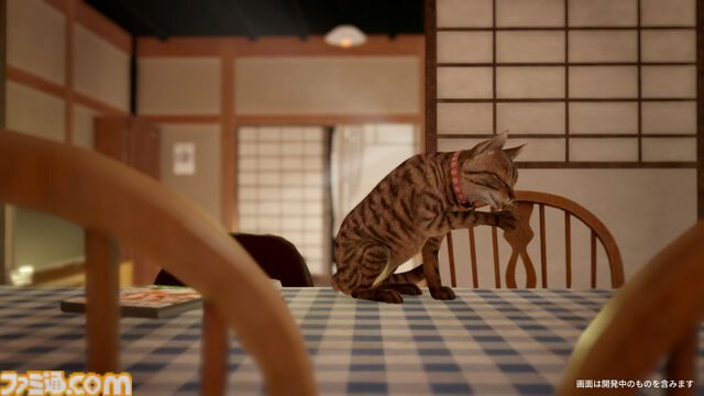 『まだ猫は逃げますか？』猫になり隠された真相に迫るホラーゲームが本日（10/27）配信。『近畿地方のある場所について』作者がシナリオを担当