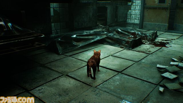 『ミャオモリーズ』恐怖の先に、ネコと飼い主の“絆”を描くホラーアドベンチャー発表。想い出を頼りに飼い主との再会を目指す。2026年リリース予定