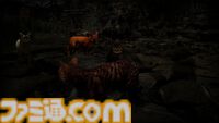 『ミャオモリーズ』恐怖の先に、ネコと飼い主の“絆”を描くホラーアドベンチャー発表。想い出を頼りに飼い主との再会を目指す。2026年リリース予定