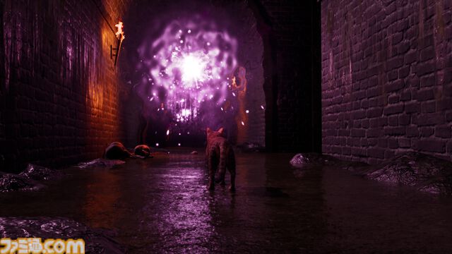 『ミャオモリーズ』恐怖の先に、ネコと飼い主の“絆”を描くホラーアドベンチャー発表。想い出を頼りに飼い主との再会を目指す。2026年リリース予定