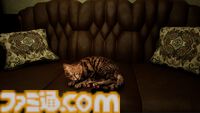 『ミャオモリーズ』恐怖の先に、ネコと飼い主の“絆”を描くホラーアドベンチャー発表。想い出を頼りに飼い主との再会を目指す。2026年リリース予定
