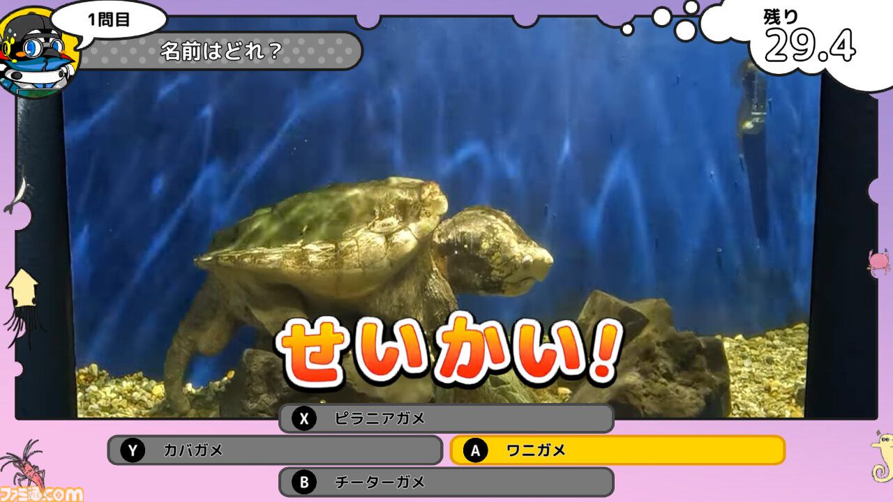 『いつでも伊勢シーパラダイス』家にいながら水族館体験。生き物の生態や豆知識を学んだり、クイズで遊べる新感覚知育ゲームが11/20発売