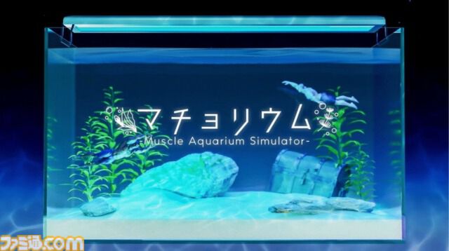 マッチョ飼育ゲーム『マチョリウム』5月29日発売。水槽に入れた小さくてかわいい（？）観賞用マッチョに癒される