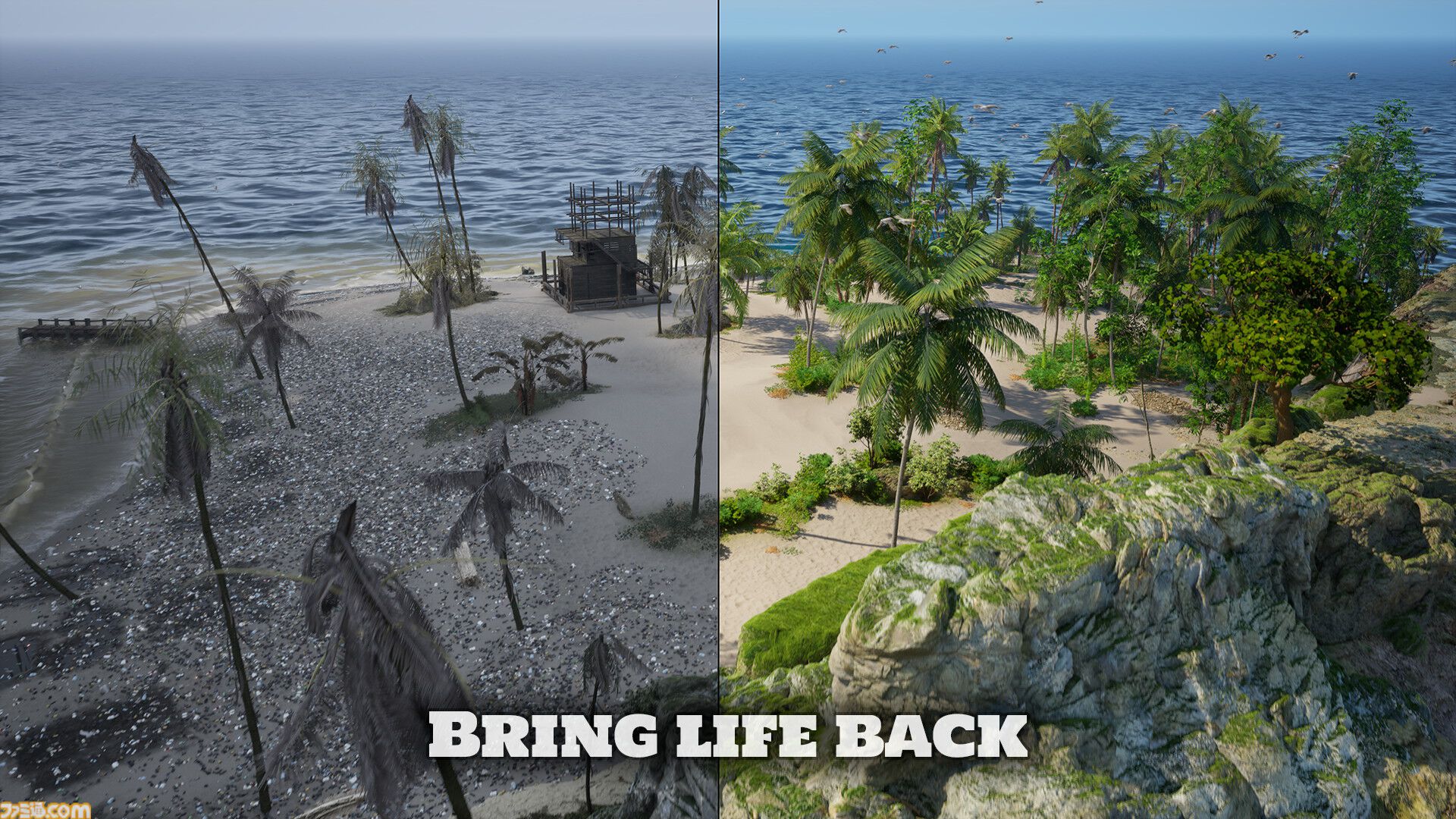 『Restore Your Island』犬といっしょに荒廃した島をおそうじするシミュレーターの“癒やしヂカラ”が凄そう