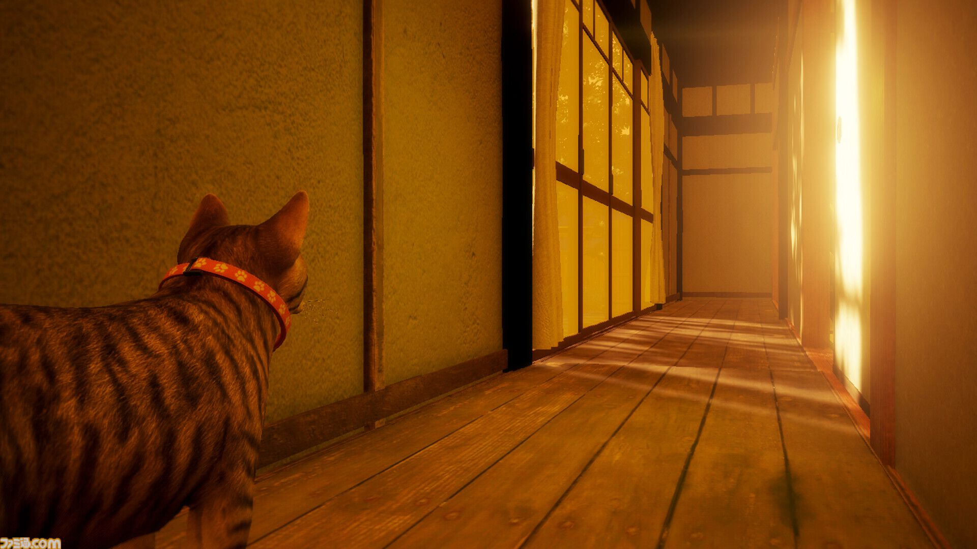 『まだ猫は逃げますか？』猫視点ホラーのシナリオ担当『近畿地方のある場所について』作者・背筋氏への独占インタビュー「猫は安全ですが、人はその限りではありません」
