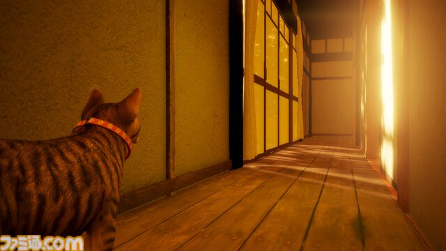 『まだ猫は逃げますか？』猫視点ホラーのシナリオ担当『近畿地方のある場所について』作者・背筋氏への独占インタビュー「猫は安全ですが、人はその限りではありません」