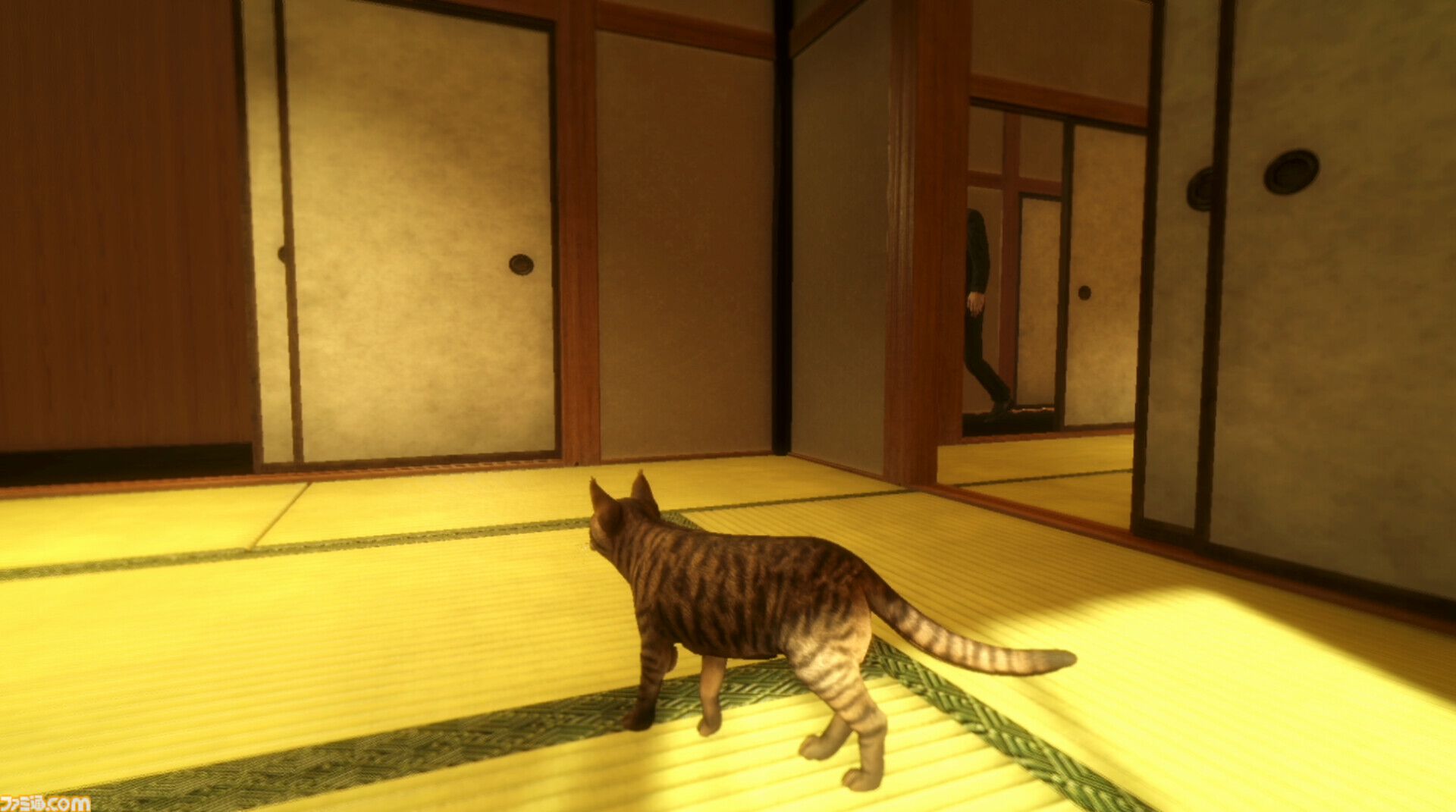 『まだ猫は逃げますか？』猫視点ホラーのシナリオ担当『近畿地方のある場所について』作者・背筋氏への独占インタビュー「猫は安全ですが、人はその限りではありません」