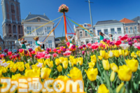 【楽天トラベル】ブラックフライデーで国内宿泊が最大20%オフのセールは12/1まで。“メイキング・オブ・ハリー・ポッター”や“うんこミュージアムTOKYO”なども楽天トラベルからの予約が便利