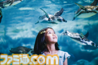 【楽天トラベル】ブラックフライデーで国内宿泊が最大20%オフのセールは12/1まで。“メイキング・オブ・ハリー・ポッター”や“うんこミュージアムTOKYO”なども楽天トラベルからの予約が便利