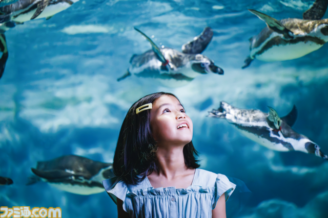 【楽天トラベル】ブラックフライデーで国内宿泊が最大20%オフのセールは12/1まで。“メイキング・オブ・ハリー・ポッター”や“うんこミュージアムTOKYO”なども楽天トラベルからの予約が便利