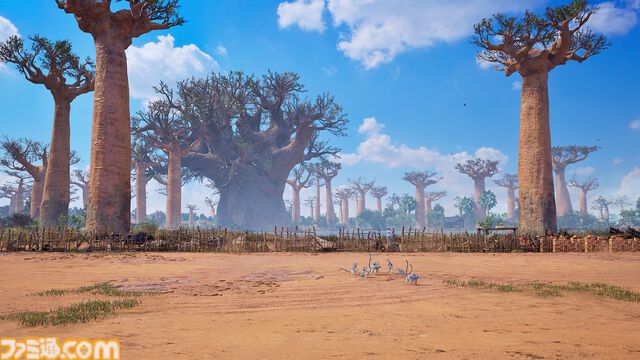 『鉄拳8』シリーズ初のマダガスカル出身の新キャラ・ミアリズ、新ステージが本日（12/5）より配信。オリジナルスウェットが当たる記念キャンペーンも開催